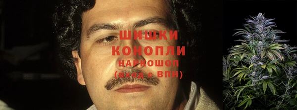 ГАЛЛЮЦИНОГЕННЫЕ ГРИБЫ Беломорск