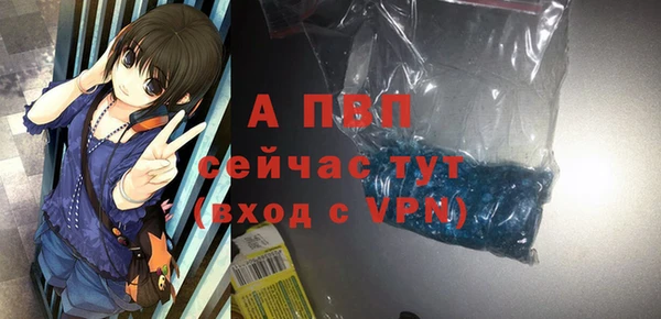 ГАЛЛЮЦИНОГЕННЫЕ ГРИБЫ Беломорск